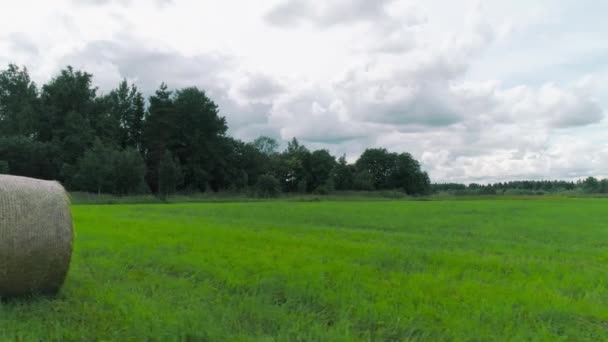 Champs verts juteux avec des meules de foin. Fusillade. Belles meules de foin torsadées sur champ vert dégagé sur fond ciel nuageux. Nettoyage du champ. Paysage rural — Video