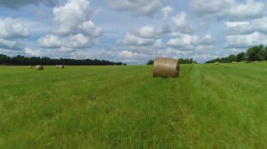 Çiftçilik, ot yapma konsepti, mavi bulutlu arka planda geniş yeşil alan. Vuruldu. Kuru otlu saman balyaları. Uzakta büyüyen yeşil ormanlarla.