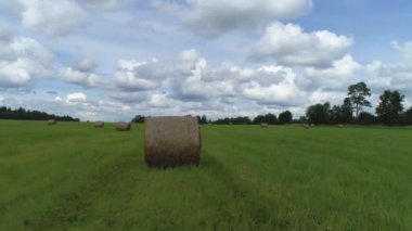 Güneşli bir yaz gününde samanlıkların ve tarım arazilerinin havadan görünüşü. Vuruldu. Çimlerin üzerinde uçmak ve saman yığınlarını kurutmak, tarım ve ekoloji kavramı.