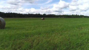 Çayırların yaz manzarası hasat zamanı biçilir. Vuruldu. Güneşin altında kuruyan saman yığınları, hayvan yemi hazırlığı, kırsal ekolojik bölge.