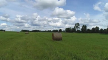 Güneşli bir yaz gününde samanlıkların ve tarım arazilerinin havadan görünüşü. Vuruldu. Çimlerin üzerinde uçmak ve saman yığınlarını kurutmak, tarım ve ekoloji kavramı.