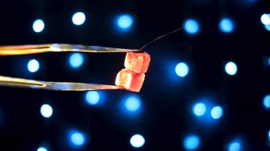 Pens ile tutulan kızgın kömürlerden uçuşan ışıltılar. Medya. Kapatın nargile maşalarını ve küçük mavi lambalarla dekore edilmiş siyah arka planda izole edilmiş sıcak kömürleri.