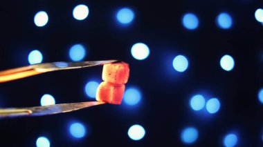 Metal maşaları ve nargile kömürü yakın, siyah arka planda, mavi çelenkli. Medya. Shisha için pensleri olan kızgın kömürleri tutuyorum..