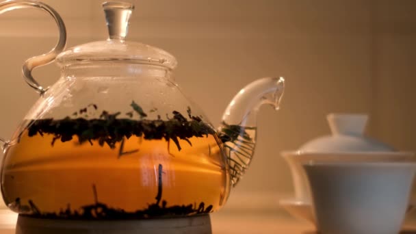 Gros plan d'une théière pleine et d'une petite tasse chinoise blanche isolée sur fond de mur beige. Concept. Délicieux thé dans une théière en verre près du gaiwan traditionnel et une tasse. — Video