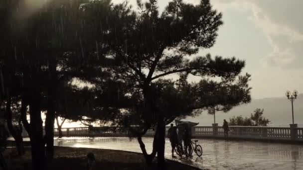 Belo aterro durante a chuva de verão ao pôr do sol. Conceito. Pessoas que se escondem da chuva enquanto caminham perto de uma grande árvore no céu nublado e fundo do mar. — Vídeo de Stock