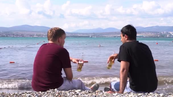 Achteraanzicht van twee mannen ontspannen op het strand met bier. De media. gelukkig mannelijke vrienden drinken samen op het strand en chatten op zee en bergen achtergrond. — Stockvideo