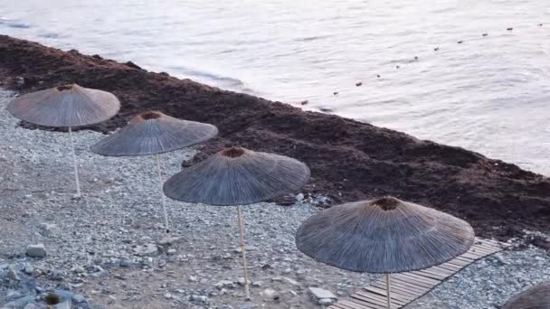 Draufsicht auf einen sonnigen Tag am Strand mit Strohschirmen. Konzept. Sommerlandschaft mit Kiesstrand und Sonnenschirmen zum Schutz vor der Sonne. — Stockvideo