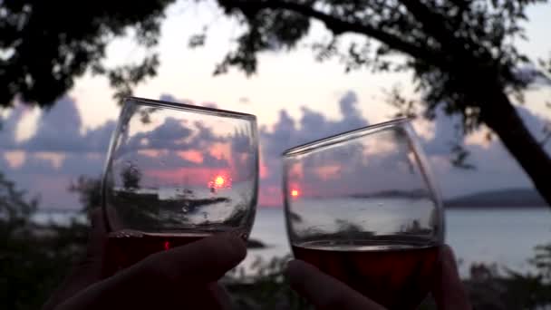 日落、庆祝会或约会的时候，手拉手在海滩上举起红酒酒杯。媒体。在海边浪漫的氛围中，男人和女人手拿酒杯. — 图库视频影像