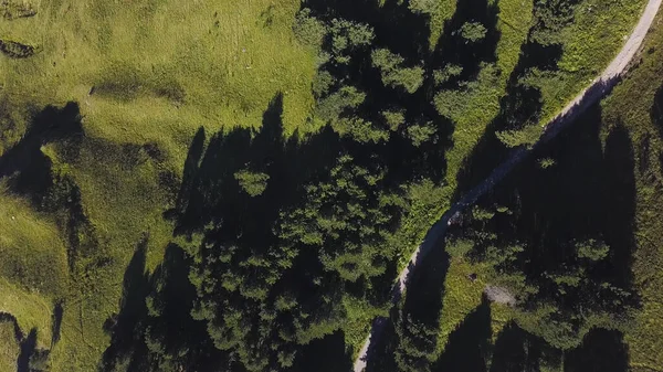 Ovanifrån av landsvägen genom grön trädskog och ett fält. Klipp. Flygfoto över vriden väg bland grön vegetation på en sommar solig dag. — Stockfoto
