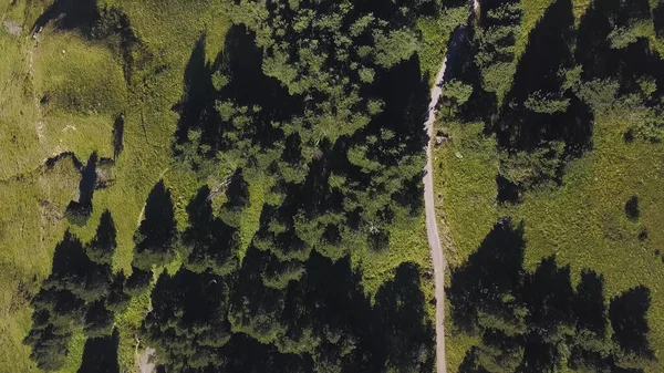 Vista dall'alto di strada rurale attraverso foresta di albero verde e un campo. Clip. Veduta aerea della strada tortuosa tra vegetazione verde in una giornata di sole estiva. — Foto Stock