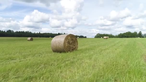 Vue aérienne des champs verts d'été avec des meules de foin. Fusillade. Paysage rural avec des meules de foin séchées sur un champ d'herbe verte entouré d'une forêt de pins sur fond de ciel nuageux. — Video