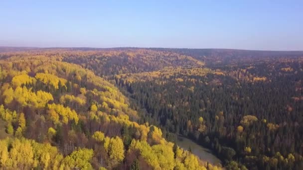 Вид с воздуха на осенний лес и маленькое озеро. Клип. Захватывающий дух панорамный вид на холмы разноцветных апельсиновых и желтых деревьев в смешанном хвойном лесу в утренней дымке. — стоковое видео