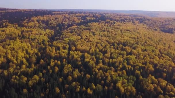 Volando sobre el bosque mixto de otoño. Clip. Impresionantes árboles coloridos Ural, Rusia, Vista aérea del fondo natural de otoño con coníferas un bosque de hoja caduca. — Vídeo de stock