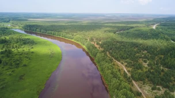 Letecký pohled na řeku a zelený les pod modrou oblohou v létě. Klip. Letní krajina s lesem, zelenými poli a širokou řekou za slunečného dne. — Stock video