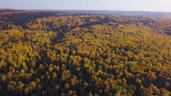 Осенний пейзаж Альп, покрытый желтыми деревьями в солнечный осенний день. Клип. Вид сверху на красивый сосуд с лесом и цветной осенней листвой. — стоковое фото