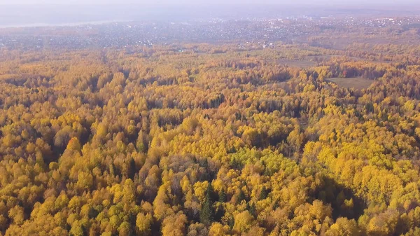 美丽的森林山谷，有一个小镇。剪断。秋天鸟瞰着明亮的金绿混交林与城市的背景. — 图库照片
