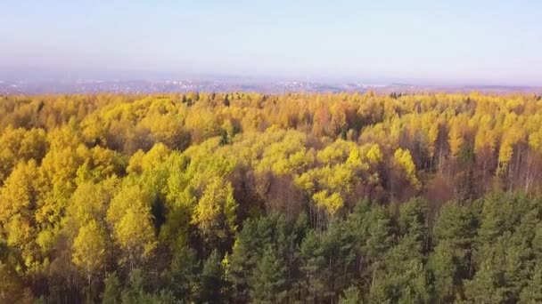 Hermoso valle arbolado con una pequeña ciudad. Clip. Vista aérea de otoño del brillante bosque mixto dorado y verde y la ciudad en el fondo. — Vídeo de stock