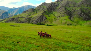 Güneşli bir günde, bir grup turistin çarpıcı bir dağ çayırında at sürüşünün hava görüntüsü. Medya