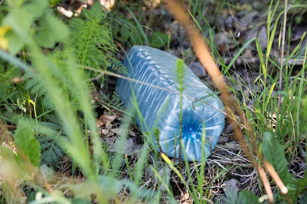 Çöp Ormanda Yaptı Çeşitli Plastik Yabancı Maddeleri Ile Dolmuştu Bahar — Stok fotoğraf