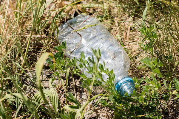 Çöp ormanda yaptı. Çeşitli plastik yabancı maddeleri ile dolmuştu. Bahar mevsimi.