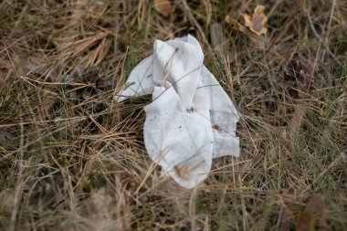Çöp ormanda kurtarıldı. Bir orman çayır arta kalan atık. Yaz sezonu.