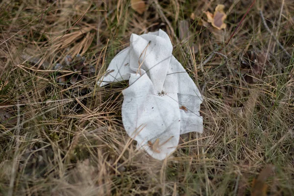 Çöp ormanda kurtarıldı. Bir orman çayır arta kalan atık. Yaz sezonu.