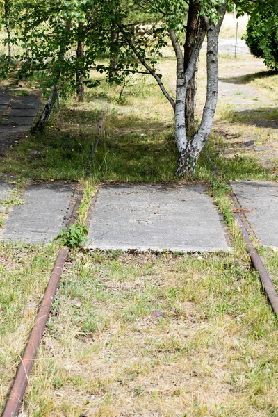 Oude Spoorlijnen Begroeid Met Bomen Vergeten Spoorlijn Seizoen Van Zomer — Stockfoto