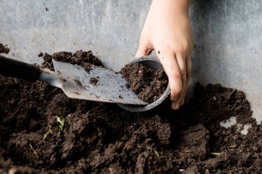 Siyah toprak ve çiçek saksı çiçek yetiştirmek için tasarlanmıştır. Bir ev bahçe bitkiler dikim. Yaz sezonu.