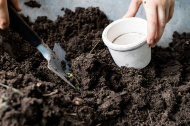 Siyah toprak ve çiçek saksı çiçek yetiştirmek için tasarlanmıştır. Bir ev bahçe bitkiler dikim. Yaz sezonu.