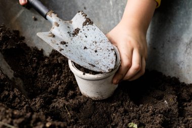 Siyah toprak ve çiçek saksı çiçek yetiştirmek için tasarlanmıştır. Bir ev bahçe bitkiler dikim. Yaz sezonu.