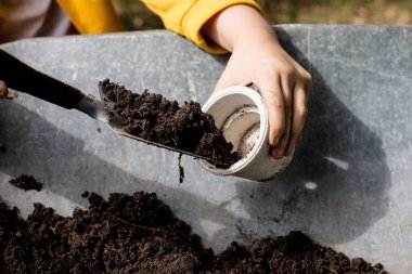 Siyah toprak ve çiçek saksı çiçek yetiştirmek için tasarlanmıştır. Bir ev bahçe bitkiler dikim. Yaz sezonu.