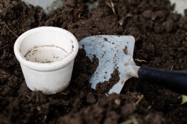 Siyah toprak ve çiçek saksı çiçek yetiştirmek için tasarlanmıştır. Bir ev bahçe bitkiler dikim. Yaz sezonu.