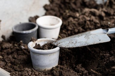 Siyah toprak ve çiçek saksı çiçek yetiştirmek için tasarlanmıştır. Bir ev bahçe bitkiler dikim. Yaz sezonu.