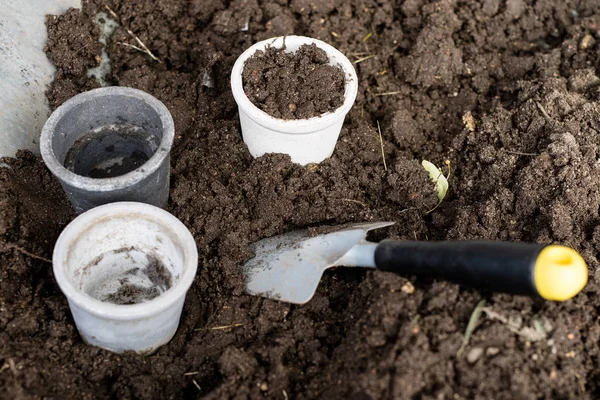 Zwarte Bodem Bloem Potten Bestemd Voor Teelt Van Bloem Verplanten — Stockfoto