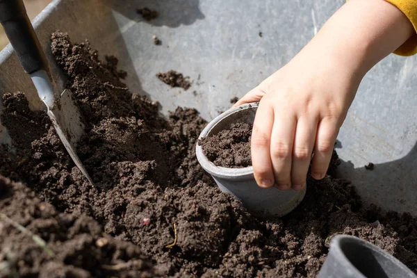 Black soil and flower pots intended for flower growing. Transplanting plants in a home garden. Season of the summer.