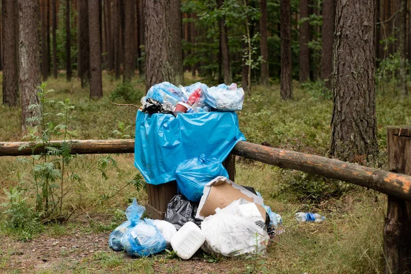 Çöp bir orman park yerinde tam bir sepet içinde. Karmaşık ortamı. Yaz sezonu.
