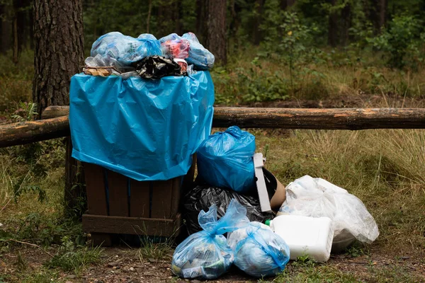 Çöp bir orman park yerinde tam bir sepet içinde. Karmaşık ortamı. Yaz sezonu.