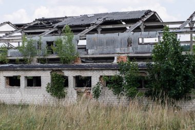 Orta Avrupa'da Devlet Çiftliği yok. Çiftlik binaları kalıntıları. Yaz sezonu.