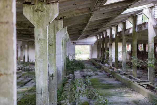 Ferme Etat Détruite Europe Centrale Ruines Bâtiments Ferme Saison Été — Photo