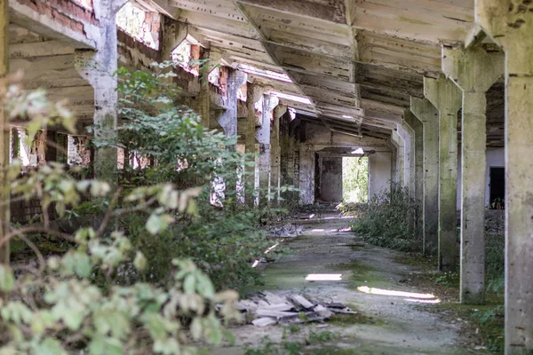Zerstörte Staatliche Farm Mitteleuropa Ruinen Von Wirtschaftsgebäuden Saison Des Sommers — Stockfoto
