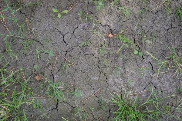 大地因大干旱而毁灭 缺乏水和破碎的地球 夏天的季节 — 图库照片