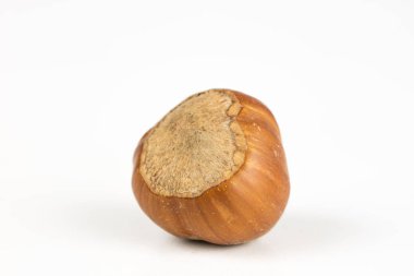 Fındık kabuğu mutfak masasında. Hazel meyve mutfak yemekleri için bir ek olarak. Beyaz arka plan.