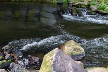 Ağaçlık bir alanda akan acele bir nehir. Ormanda güzel yaralı bir el. Sezon sonbahar.