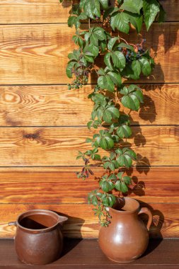 Eski vazolar ve su testileri. Geçen yüzyıldan kalma ev aksesuarları kenarında ayarlayın. Sezon sonbahar.