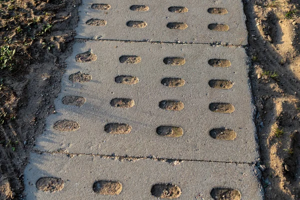 Uma Estrada Terra Que Leva Borda Floresta Pavimentada Com Lajes — Fotografia de Stock