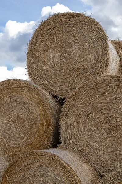 Paja Fardos Camino Asfalto Campo Montones Paquetes Redondos Campo Temporada — Foto de Stock