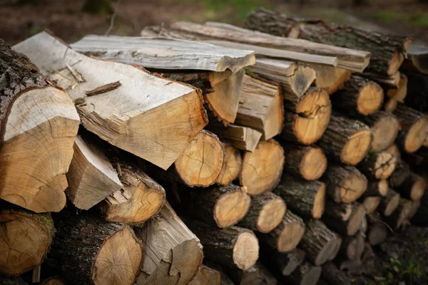 Hromada Dříví Listnatého Lesa Jeden Nad Druhým Uspořádány Kousky Dřeva — Stock fotografie
