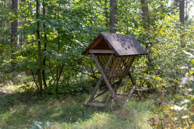 Mera orman hayvanları için. Orman hayvanları beslemek için bir yer. Sezon sonbahar.