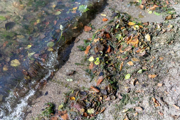 Margem Lago Está Repleta Folhas Cenário Outono Lago Europa Central — Fotografia de Stock