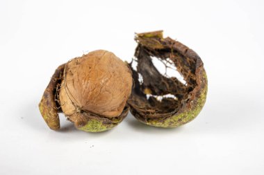 Ceviz kabuğundaki beyaz mutfak masası üzerinde. Meyve tatlıları ve yemekleri mutfakta. Açık renkli.